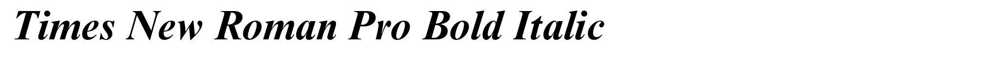 Times New Roman Pro Bold Italic image